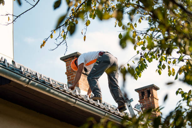 Quick and Trustworthy Emergency Roof Repair Services in Newberg, OR